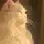 みゆのプロフィール画像