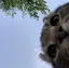 ともかのプロフィール画像
