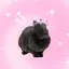オサキのプロフィール画像