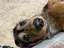 mrnのプロフィール画像