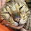 wndrのプロフィール画像