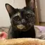 まりなのプロフィール画像