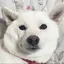 うっちーのプロフィール画像