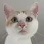 タラのプロフィール画像