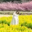 みくのプロフィール画像