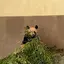 みづきのプロフィール画像