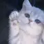 さのプロフィール画像