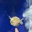 ササキのプロフィール画像