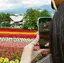 七 梦，のプロフィール画像