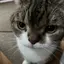 mのプロフィール画像