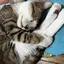 みーなのプロフィール画像