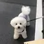 Sのプロフィール画像