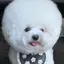 ゆののプロフィール画像