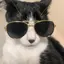みゆうのプロフィール画像