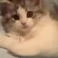 わかなのプロフィール画像