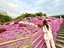 まーるのプロフィール画像