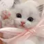 mのプロフィール画像