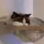ゆんのプロフィール画像