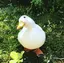 72のプロフィール画像