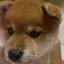 みはねのプロフィール画像