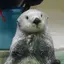 優子のプロフィール画像