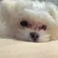 ﾓ。のプロフィール画像
