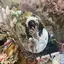 もものプロフィール画像