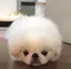 綾香のプロフィール画像