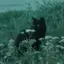 さのプロフィール画像