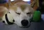 hariyoのプロフィール画像