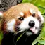 わさびのプロフィール画像