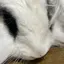 舞子のプロフィール画像