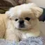 あいらのプロフィール画像