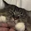 sのプロフィール画像
