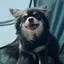 さのプロフィール画像