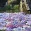 舞のプロフィール画像