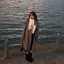 はんなのプロフィール画像