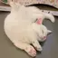 🍒のプロフィール画像