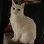 ナギのプロフィール画像