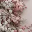 夏のプロフィール画像