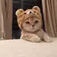 yunaのプロフィール画像