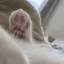 あのプロフィール画像