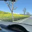 萊橆のプロフィール画像