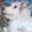 まりあんぬ*のプロフィール画像