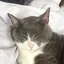 白米のプロフィール画像