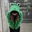 たにのプロフィール画像