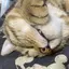 ゆみこのプロフィール画像