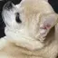あのプロフィール画像