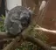 ナギサのプロフィール画像