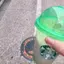 てーさんのプロフィール画像